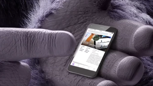 Monster lancia la nuova app per cercare lavoro