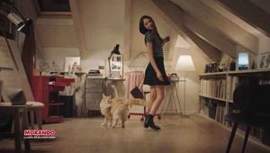 Gruppo DDB Italia, vinta la gara, riporta in tv i brand Morando Migliorcane e Migliorgatto