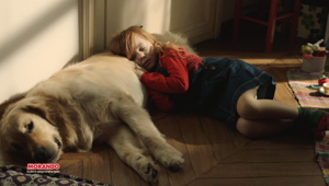 Morando torna in tv con Migliorcane e Migliorgatto. Creatività di Gruppo DDB e produzione Filmmaster