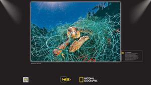 National Geographic e Plastic Free portano la mostra PlasticNet al centro commerciale “Metropoli" di Novate Milanese in esclusiva CBRE