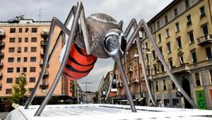 Le zanzare di 'Mosquito' invadono Milano. L'iniziativa di Discovery Italia è firmata Us Up