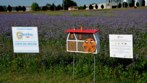 Consorzi Agrari d’Italia (CAI) e Mulino Bianco insieme per la salvaguardia di circa 3 milioni di api nell’ambito del progetto “Carta del Mulino”