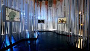 Museocity, ingressi record: oltre 60.000 presenze. Del Corno: “Una festa per la grande Milano”