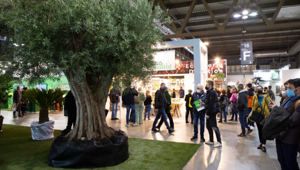 L’universo green s’incontra a FieraMilano dal 22 al 24 febbraio.  Al via Myplant, 45 mila mq dedicati alle ricette per città più verdi