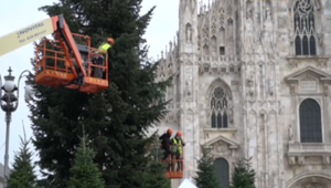 Il Natale 'diffuso' di Milano: 18 alberi brandizzati dalla periferia al centro. Al via i lavori per quello di Piazza Duomo firmato Coca-Cola