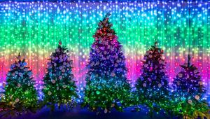 Museum Of Dreamers regala un Natale di sogni e desideri: esteso fino a marzo 2023 il percorso immersivo si arricchisce dell’installazione “Christmas Dream”