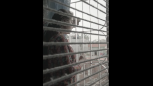 Nepal, Polonia e Svezia i tre Paesi finalisti al vertical video contest "The difference she makes" realizzato da Nespresso con Userfarm