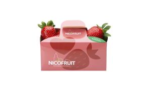 Nicofruit sceglie Brand-Cross per la comunicazione corporate e di prodotto Fragola Matera. Al via tre spot inediti con campagna di digital adv, social media marketing e Spotify