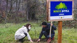 L'impegno sostenibile di Beiersdorf passa da due nuovi progetti green in partnership con LifeGate: Bosco Nivea e Nivea mare protetto