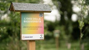 Edison Next e 3Bee si alleano nel nome della rigenerazione della biodiversità. Primo progetto comune l'oasi di Zinasco
