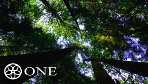 ONE punta sull’ambiente e propone un nuovo modo green di fare OOH con LifeGate