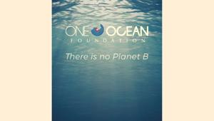 One Ocean Foundation al Bea Festival 2018 per promuovere iniziative a favore della salvaguardia dell’ecosistema marino insieme a FeelRouge Worldwide Shows