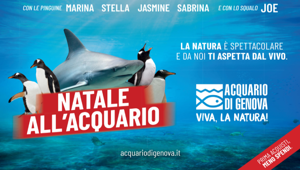 Acquario di Genova e PicNic insieme per la campagna natalizia 2024. Asset Media firma lo spot televisivo