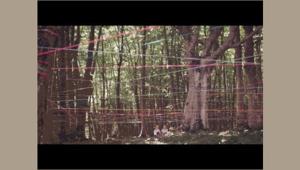 Parallelozero firma il cortometraggio di Open Fiber 'La nostra strada'