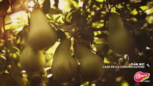 Plan.Net firma la nuova strategia digitale per Opera