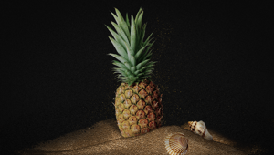 F.lli Orsero è partner del Jova Beach Party 2019