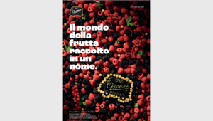  “Il mondo della frutta raccolto in un nome” nella campagna Orsero firmata Quipeg