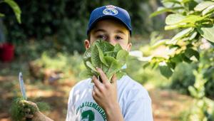 Cento nuove classi avviano il proprio Orto Slow Food nelle scuole. Lo storico progetto di educazione si amplia grazie al sostegno di UniCredit
