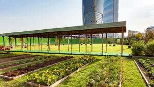 Io Donna a CityLife per Green City Milano