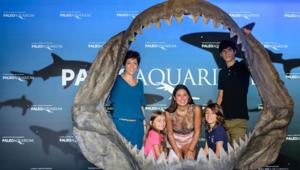 All'Acquario di Genova la mostra 'Paleoaquarium, il mare al tempo dei dinosauri'