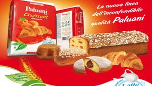 Paluani sceglie The Brand per la comunicazione digital