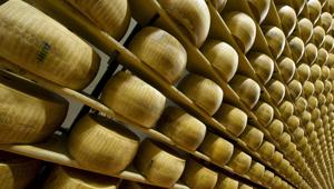 Parmigiano Reggiano spalanca le sue porte: arriva una nuova edizione di 'Caseifici Aperti'