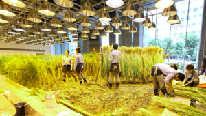 Quarta tappa della Food Innovation Global Mission tra Hong Kong e Tokyo alla scoperta del continente asiatico nel segno dell’innovazione e del futuro del cibo