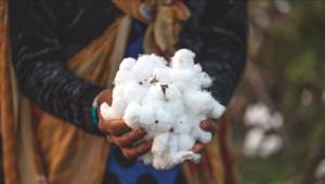 Da Patagonia la campagna per l'agricoltura organica e rigenerativa