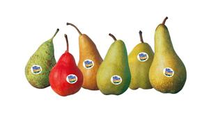 Il Consorzio di Tutela della Pera dell’Emilia-Romagna IGP sceglie LDB Advertising per la sua prima campagna TV