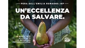 LDB Advertising firma ancora una volta la comunicazione del Consorzio di Tutela della Pera dell’Emilia Romagna IGP dedicata al sostegno del comparto