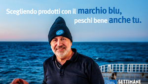 Per la quinta edizione delle Settimane della Pesca Sostenibile, MSC Marine Stewardship Council ha scelto Lampi. Comunicazione illuminata