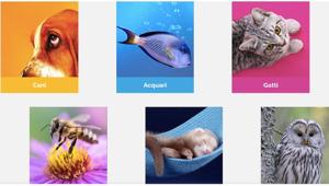 Petsfestival 2022, il programma e gli eventi della nona edizione green e pet friendly