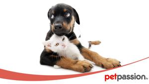 Gruppo DigiTouch consolida la sua presenza all’interno del mercato della pet economy puntando su una nuova strategia per la crescita della community di PetPassion.tv