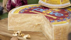 VanGogh vince la gara per comunicazione ed eventi del Consorzio per la Tutela del Formaggio Piave Dop