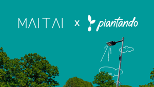 Attraverso il progetto Light Up di Piantando, Mai Tai illumina il Malawi: un lampione per accendere speranza e opportunità