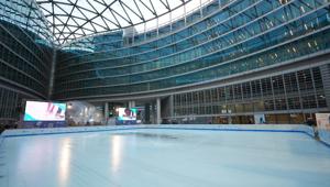 Nella piazza della Regione parte 'Insieme è Natale': fino al 7 gennaio pista sul ghiaccio, quadri di Andy Warhol e visite al Belvedere del 39° piano