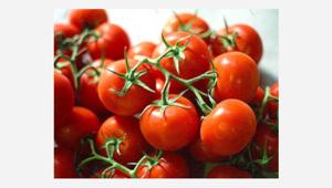 OI Pomodoro da Industria Nord Italia: gara da 1,2 milioni per una campagna di promozione in Brasile