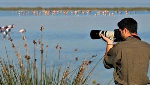 Torna dal 17 marzo al 24 giugno 'Primavera Slow' nel Parco del Delta del Po