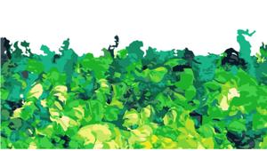 Il 20 marzo OMG al Parco Nord per piantare oltre 600 alberi