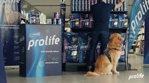 Prolife lancia la nuova campagna “Se il tuo pet potesse parlare" con Rai Pubblicità e Twister Film