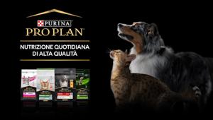 Purina Pro Plan, McCann firma l'adattamento italiano della campagna integrata tv e digital. La pianificazione è di Dentsu X