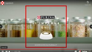 Purina lancia la nuova campagna digital #OltreLaCiotola per continuare il racconto sulla trasparenza