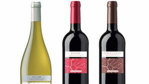 True Company esalta le radici di Purovino con la nuova immagine coordinata