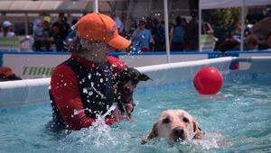 Quattrozampeinfiera, la “due giorni pet friendly” più famosa d’Italia torna ad ottobre con la tappa milanese