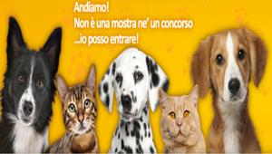 Quattro città per le quattro tappe di QuattroZampeinFiera