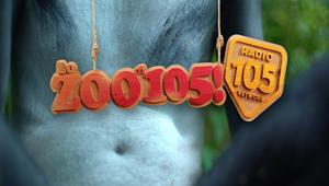 Lo Zoo di 105 è  “il programma più ascoltato in natura” nel nuovo spot tv di Radio 105