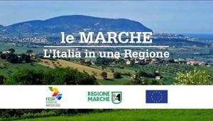 Regione Marche apre gara da 3,4 milioni per le attività di promozione del Fondo sociale europeo