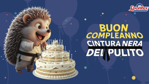Spontex celebra il compleanno del celebre riccio e consolida la strategia di comunicazione con una campagna digita, radio, social e influencer. Firma GHOST Studio