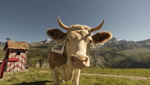 Ricola lancia in tv il nuovo gusto Herb-Caramel con lo spot firmato Jung von Matt/Alster Werbeagentur