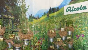 Ricola e il giardino sensoriale a Taste of Roma 2016